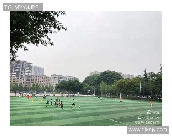 杭州篮球队实力揭秘：从青训到职业联赛的全景分析与展望