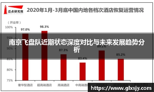 南京飞盘队近期状态深度对比与未来发展趋势分析