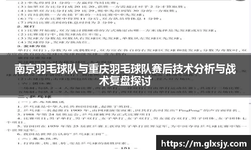 南京羽毛球队与重庆羽毛球队赛后技术分析与战术复盘探讨