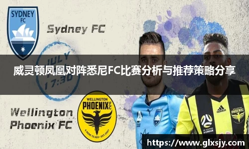 威灵顿凤凰对阵悉尼FC比赛分析与推荐策略分享